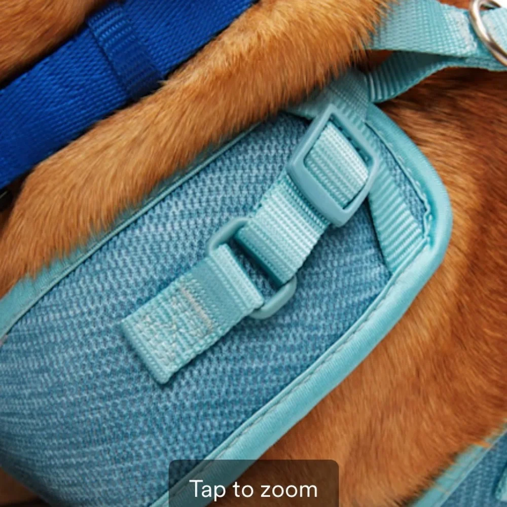 EVERY YAY Padded Mesh No Pull Turquoise Teal Blue Dog Harness 🐶 LARGE 🐶 NWT